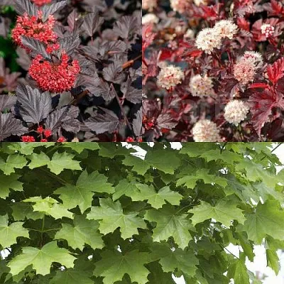 Комплект ОСЕННИЙ КОСТЕР в Рязани