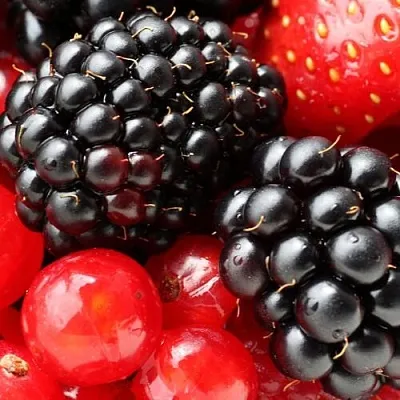 Ежевика  Ежевика в Рязани