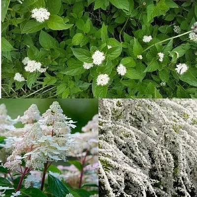 Комплект СКАНДИНАВСКИЙ СТИЛЬ в Рязани