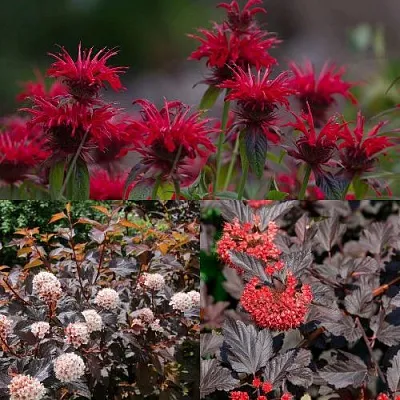 Комплект ОГНЕННЫЙ МИКС в Рязани