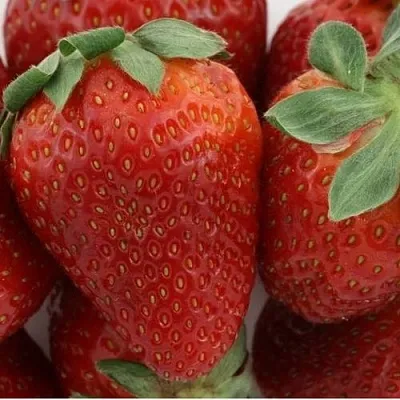 Клубника ФЛАМИНИЯ  Клубника ФЛАМИНИЯ в Рязани