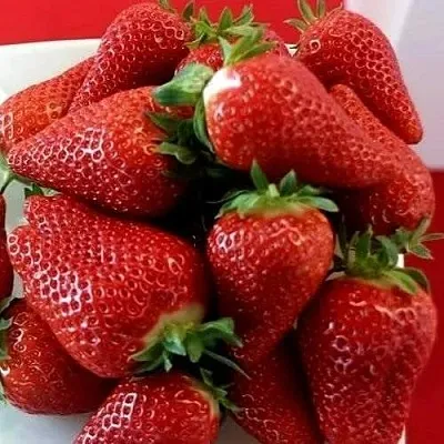 Клубника БРИЛЛА  Клубника БРИЛЛА в Рязани