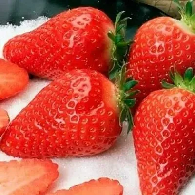 Клубника АЛЬБА  Клубника АЛЬБА в Рязани