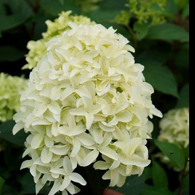 Средняя в Рязани